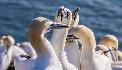 ayx体育ios-意甲天气影响比赛，足球也有“天气”因素，意甲日程